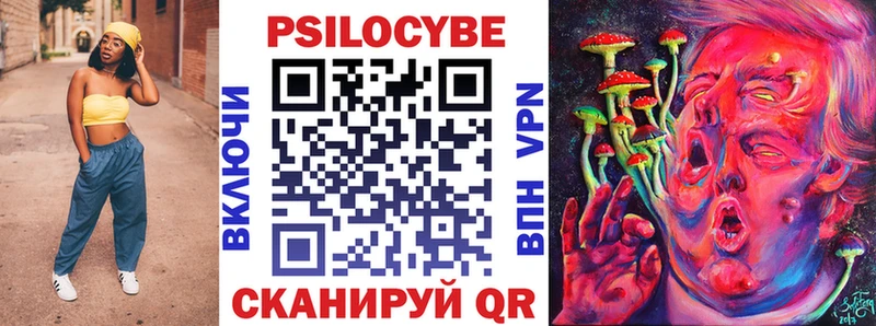 Галлюциногенные грибы Cubensis Купить закладки Дигора