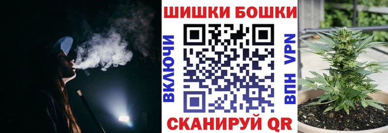 Конопля план Дигора